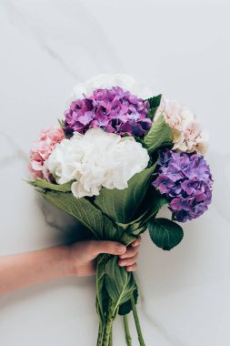 buket HORTENSIA çiçek mermer yüzeyde tutan kadın görünümünü kırpılmış 