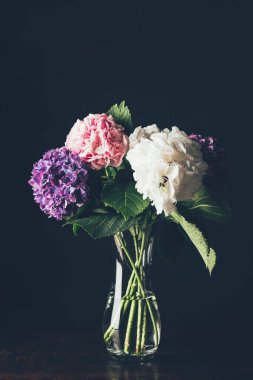 siyah cam vazoda pembe, beyaz ve mor HORTENSIA çiçekler