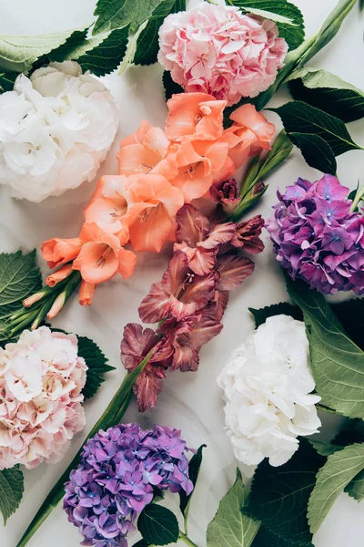 Vista Superior Del Fondo Con Hortensia Colorida Gladiolos Flores Superficie — Foto de stock gratuita