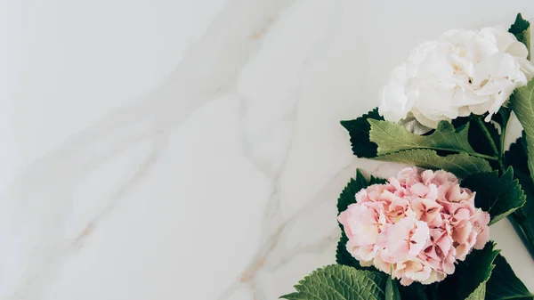 Top view of pink and white hydrangea flowers on marble surface with copy space — Stock Image Top View Pink White Hydrangea Flowers Marble Surface Copy Space Stock Photo