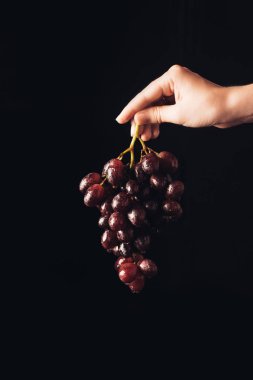 taze olgunlaşmış meyve suyu üzüm siyah izole tutan kişi kırpılmış atış