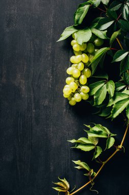 Siyah ahşap yüzey üzerinde yeşil yaprakları ile taze beyaz üzüm üstten görünüm 