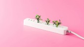 fehér dugaszolóaljzat elszigetelt rózsaszín, zöld levelekkel kiadványról