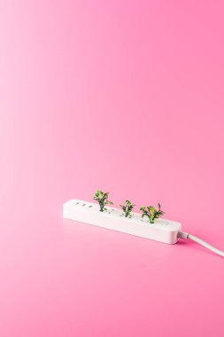 priz ve yeşil dallar izole pembe, yenilenebilir enerji kavramı üzerinde yakından görmek