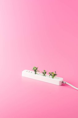 close-up view of socket outlet and green twigs isolated on pink, renewable energy concept clipart
