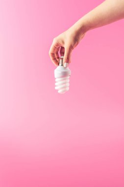 ampul pink izole tutan kişi kısmi görmek