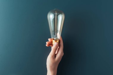 cropped shot of person holding light bulb on grey background clipart