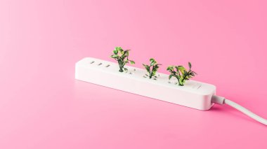 close-up view of white socket outlet with green leaves isolated on pink clipart