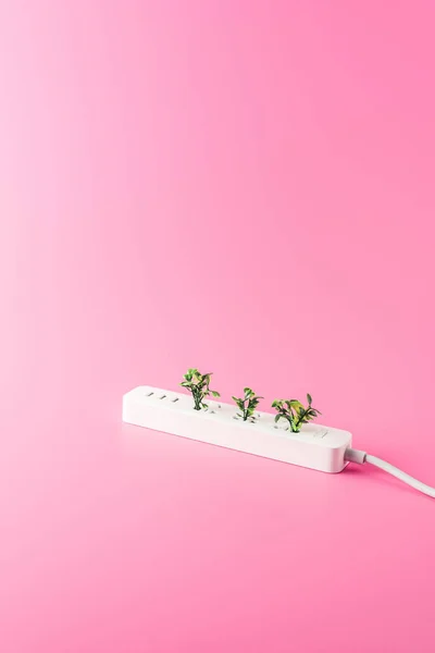 Närbild Eluttaget Och Gröna Kvistar Isolerad Rosa Förnybar Energikoncept — Stockfoto