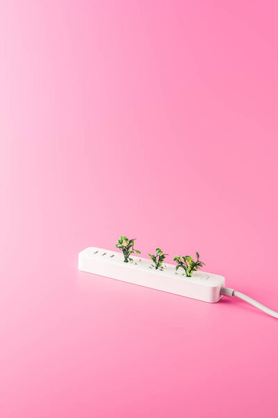 крупным планом розетки и зеленых веток, изолированных на розовый, возобновляемые источники энергии концепции
