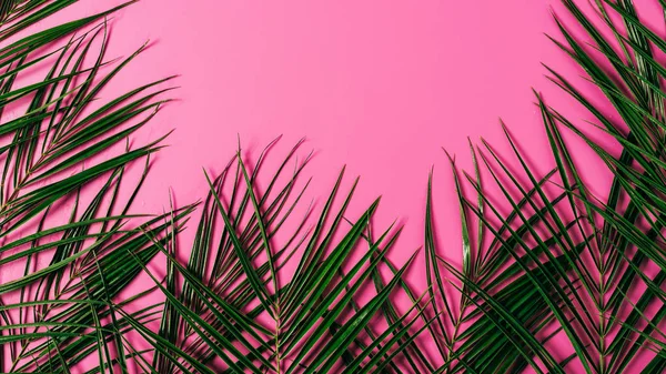 top view of exotic palm leaves arranged on pink background