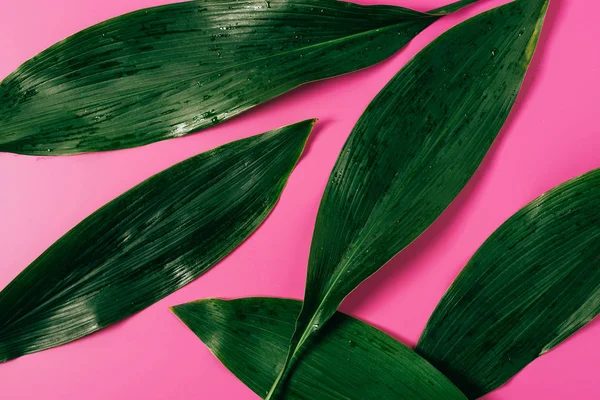 Bovenaanzicht Van Water Druppels Groene Bladeren Roze Achtergrond — Stockfoto