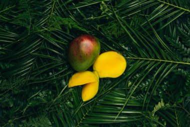 top view of fresh mangos on green palm leaves clipart