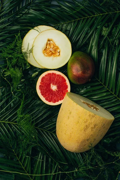 Bovenaanzicht Van Meloen Mango Grapefruit Palm Bladeren — Stockfoto