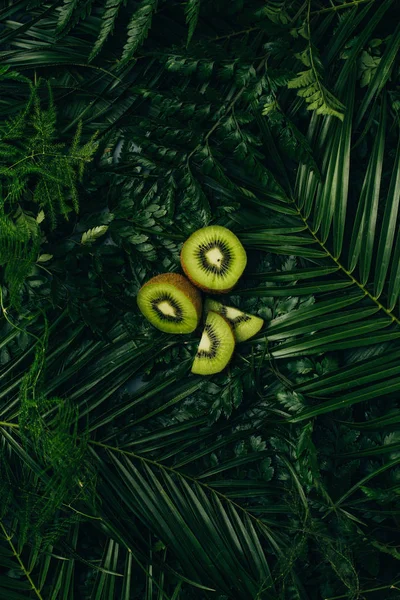 Bovenaanzicht Van Verse Kiwi Segmenten Groene Palm Bladeren — Gratis stockfoto