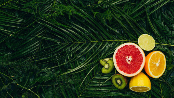 Top view of grapefruit, lime, kiwi, lemon and orange on palm leaves with copy space