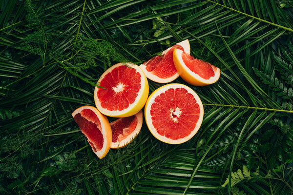 top view of fresh grapefruit slices on palm leaves