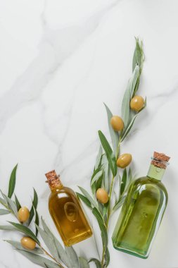 şişe zeytinyağı ve zeytin dal üstten görünüm mermer masada