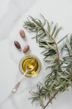 mermer masa üzerinde kaşık cam, dal ve zeytin ve zeytinyağı üstten görünüm