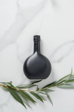 siyah şişe zeytinyağı ve dal üstten görünüm mermer masada