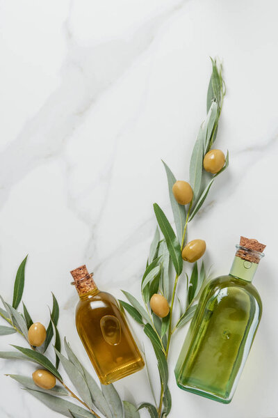 top view of bottles of olive oil and twigs with olives on marble table