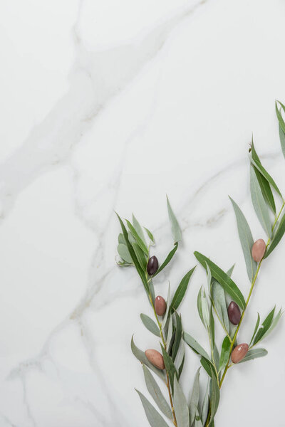 top view of olive twigs and olives on marble table