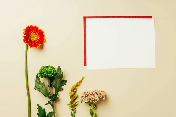 Flat Lay Arrangement Red White Blank Cards Beautiful Flowers Beige — Stock Photo, Image