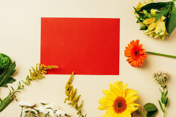 Top view of empty red banner and arranged flowers on beige backdrop — Stock Image Top View Empty Red Banner Arranged Flowers Beige Backdrop Royalty Free Stock Photos