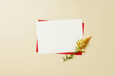 flat lay with arrangement of red and white blank cards and beautiful wildflower on beige backdrop clipart