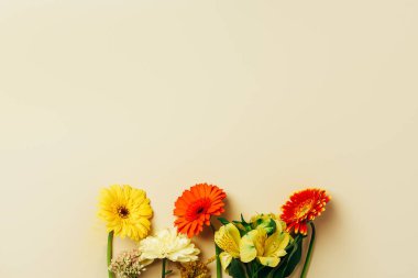 düz lay bej zemin güzel gerbera ve lily çiçek düzenleme ile