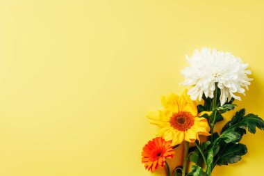 gerbera, ayçiçeği ve kasımpatı çiçekleri sarı zemin üzerinde düzenlenmiş üstten görünüm