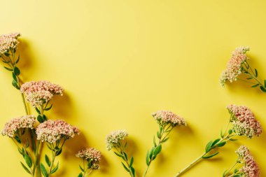 flat lay with beautiful wildflowers arrangement on yellow background clipart