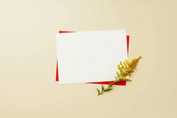 Lapos Feküdt Vörös Fehér Üres Kártyák Bézs Háttér Gyönyörű Vadvirág — Stock Fotó