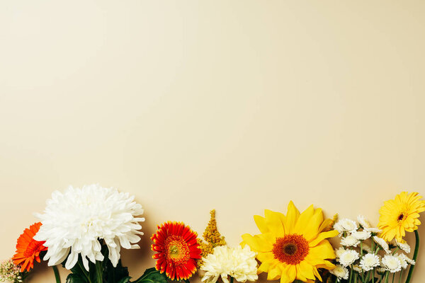 flat lay with various beautiful flowers arrangement on beige background