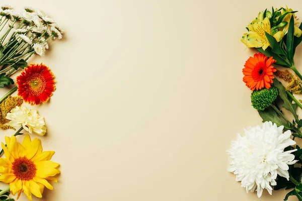 Επίπεδη Lay Διάφορα Όμορφα Λουλούδια Ρύθμιση Μπεζ Φόντο — Φωτογραφία Αρχείου