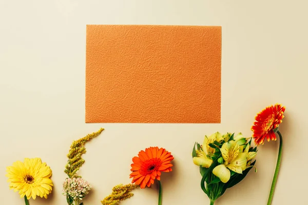 Flat Lay Beautiful Flowers Empty Orange Card Arrangement Beige Backdrop — Free Stock Photo