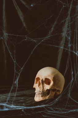 örümcek ağı ile siyah kumaş ürpertici halloween kafatasında