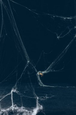 korkunç Cadılar Bayramı arka plan beyaz web ve örümcek ile