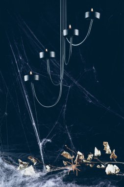 dry branch in spider web in darkness with candles clipart