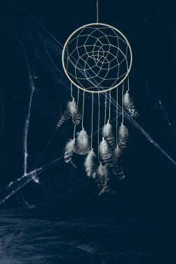 Cadılar Bayramı için örümcek ağı ile karanlıkta eşarplı Gotik dreamcatcher