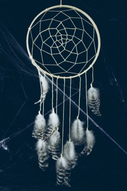örümcek ağı ile karanlıkta eşarplı Dreamcatcher