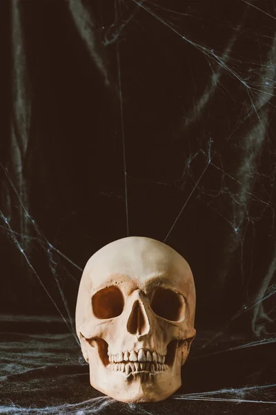 クモの巣と黒の布の上の暗いハロウィーン頭蓋 — ストック写真