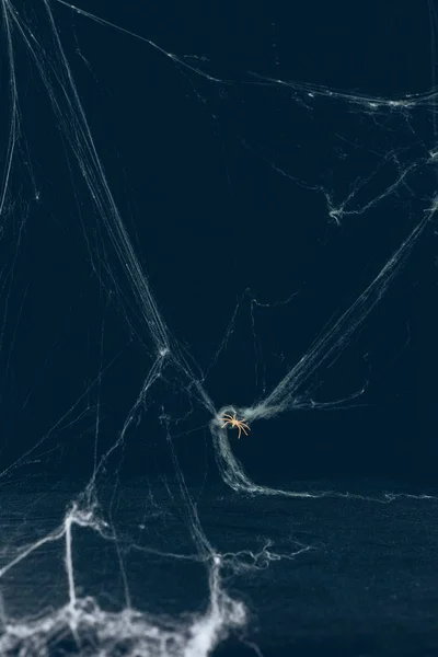 scary halloween background with white web and spider