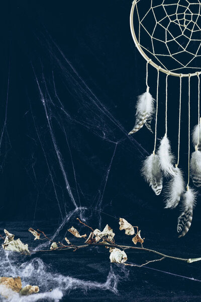 dreamcatcher with feathers in darkness with spider web and dry branch