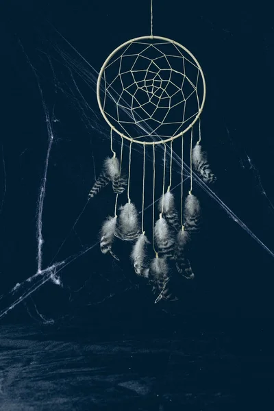 ハロウィーンのクモの巣に暗闇の中で羽を持つゴシック ドリーム キャッチャー — ストック写真