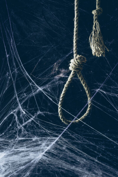 hangman noose hanging in darkness with spider web, creepy halloween decor