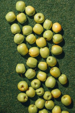 Top view of green apples on grass background  clipart