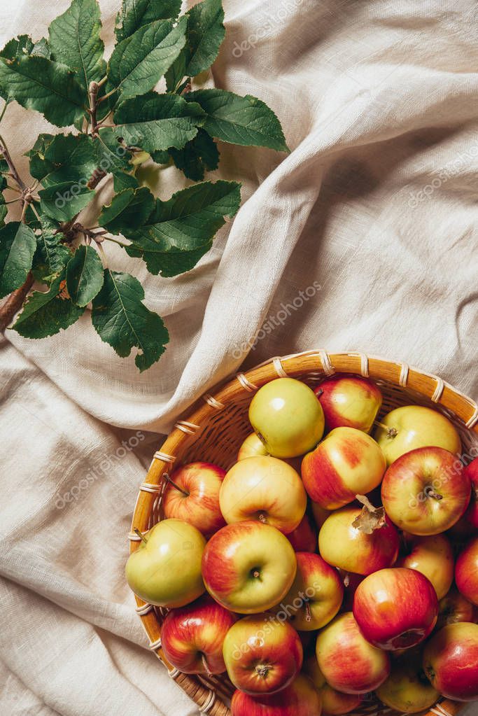 Top view of apples in wicker basket with apple tree leaves on sacking cloth