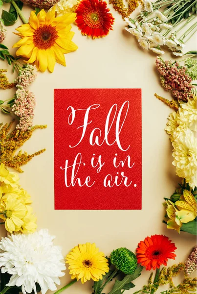 Flat Lay Various Beautiful Flowers Red Card Fall Air Inspiration — Stock Photo, Image