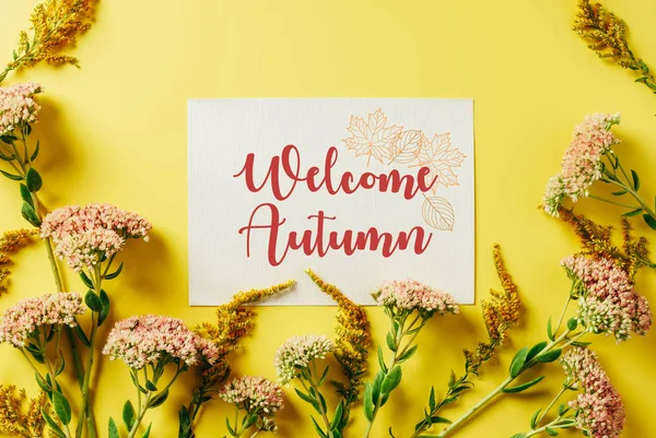 Flat Lay Beautiful Wildflowers Card Welcome Autumn Lettering Yellow Backdrop — Stock Photo, Image